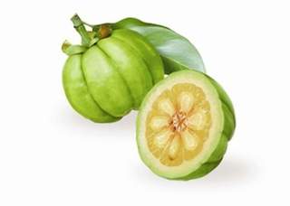garcinia cambogia extract